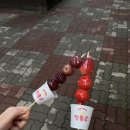 영앤리치언니카페