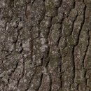 신창생한의원 이미지