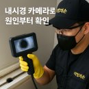 펫솔루션 구로점 | [가을·초겨울 결로 시즌] 숨은 곰팡이와 냄새를 먼저 잡는 입주청소