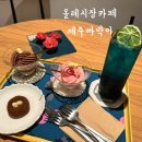 제주빠박이