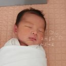 209.서울병원_2 | 부천서울여성병원 산후조리원 2주 이용 후기