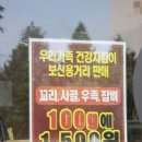 돼지보리네 이미지