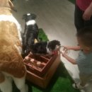 대주2농장 이미지