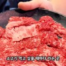 느리울정육점