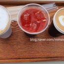 밀양호전망대 이미지