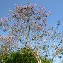 남악사지 이미지