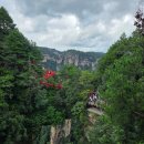 노란풍선 | 중국 장가계 패키지 노란풍선 이용후기