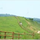 삼양목장 이미지