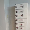 카멜리아 이미지