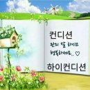 실버건강댄스1 이미지