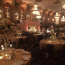 시카고휘트니스센타 이미지