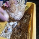 풀내음농장 이미지