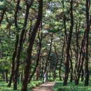 해찬솔길 이미지