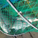 해성펜션 이미지