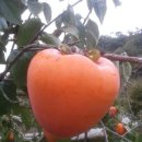 해신환경 이미지