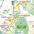 용산-262 머니투데이