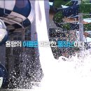 용평리조트용평피크아일랜드 Daum카페