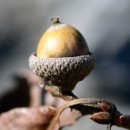 백림 이미지