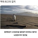 아트피아 | 2025 수성아트피아 새해음악회 관람 후기