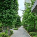 수색로(가재울뉴타운 내) 이미지