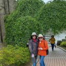 [후기]2024년 5월15일(수) 부천 자연생태공원 ㅡ 늦은 봄날의 무릉도원 수목원, 식물원 이미지