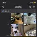 신연초등학교 이미지
