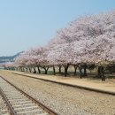 장복산길 이미지