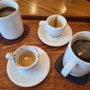 상무본가장어 이미지