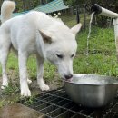 푼타하우스 이미지