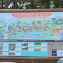 대가야테마파크 주차장 네이버블로그