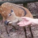 여기산2(동) 이미지