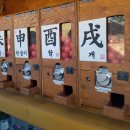 (집)씨유ktx광명점(오영지) | [국내여행] 당일치기같은 1박2일 뚜벅이 경주 여행 (하루종일 먹방 파티)