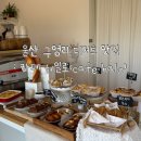 Cafe halo(카페 헤일로)