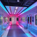 신중부시장 | [청계천/이태원] 청계천 하이커그라운드/ 신중부시장 건어물축제/ 이태원 파티