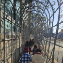 예솔작은도서관 이미지