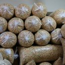 태산글로벌 이미지