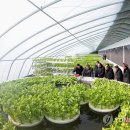 창구농장 이미지