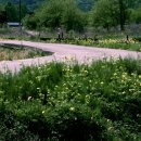 마지2리 이미지