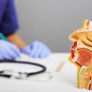 별 이비인후과의원 이미지