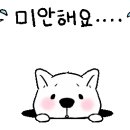 토르모터스 이미지