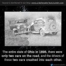 나원목장 이미지