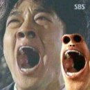 보금