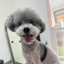 멍키매직 이미지