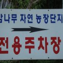 금복주농장 이미지