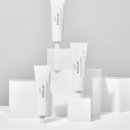 스텔라이 이미지