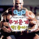 우성스마트사우나 이미지