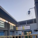 헬로우, 마루네 애견운동장 이미지