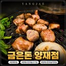 금은돈양재 | 양재시민의숲고기집 돼지고기맛집 금은돈양재직영점에서 가족모임한 후기