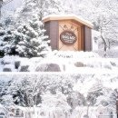하이디펜션 - 서천군 금강로 1145-21 | 하이디펜션