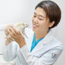 서울샤인 동물병원 이미지